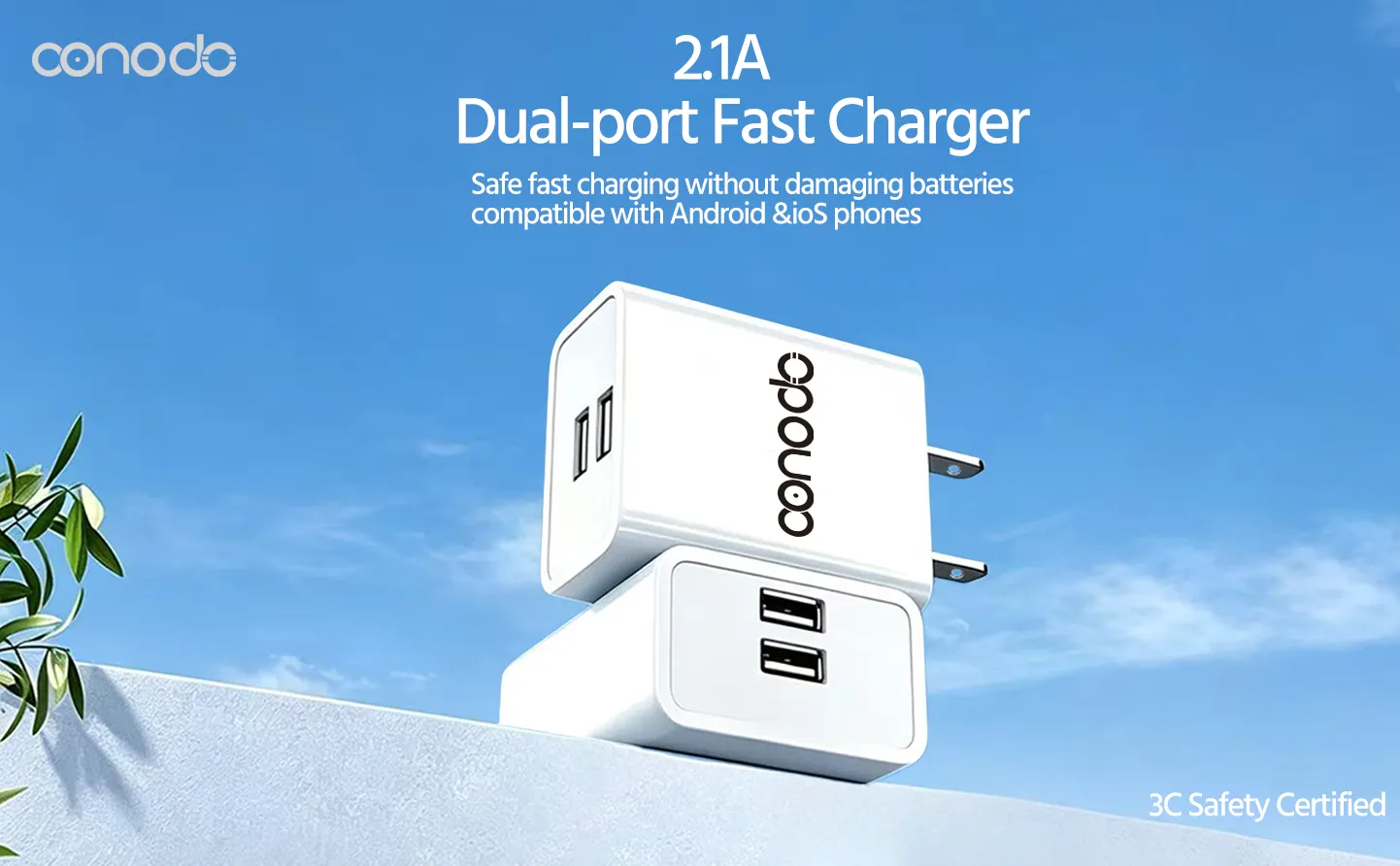 Battery chargers Main View